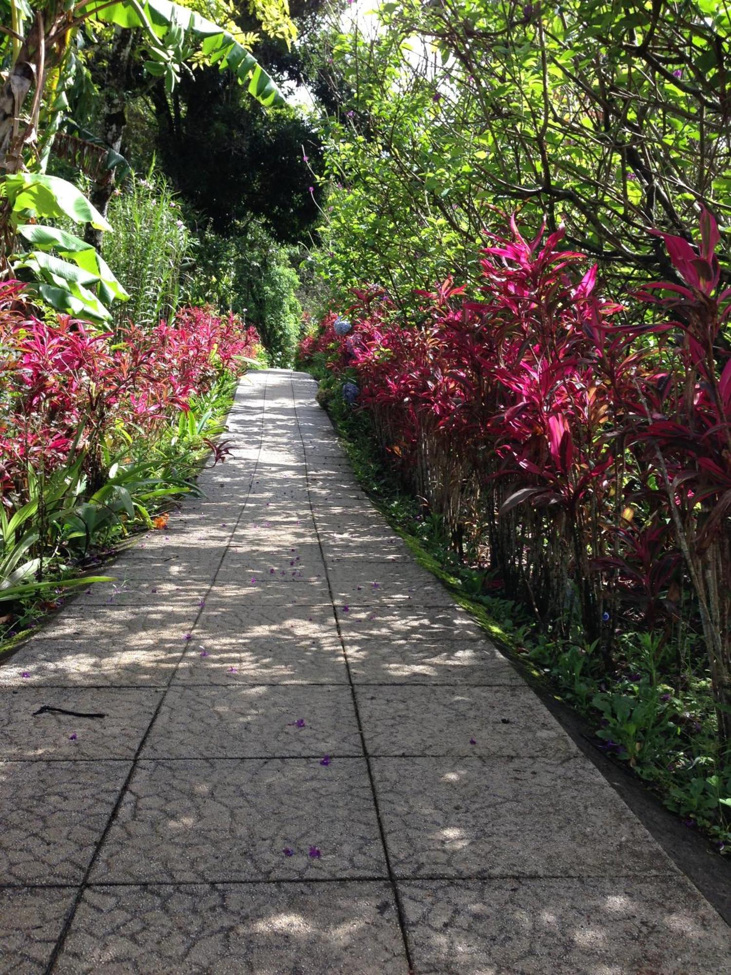 Elida Trails & Eco-Lodge Monteverde 외부 사진